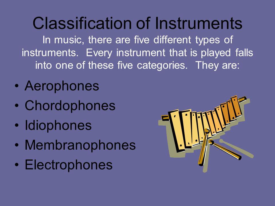 Categories of 2024 musical instruments